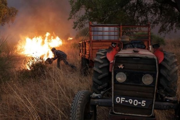 Португалия снова оказалась в плену смертельных пожаров