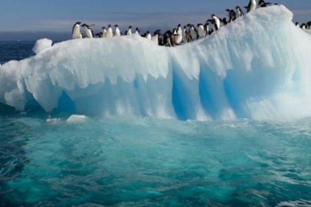 В Антарктиде найдена скрытая система озер‍