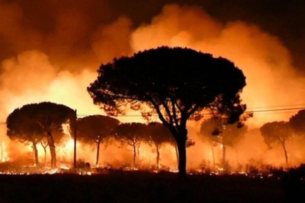 Масштабный лесной пожар в Испании: эвакуированы 2 тысячи человек