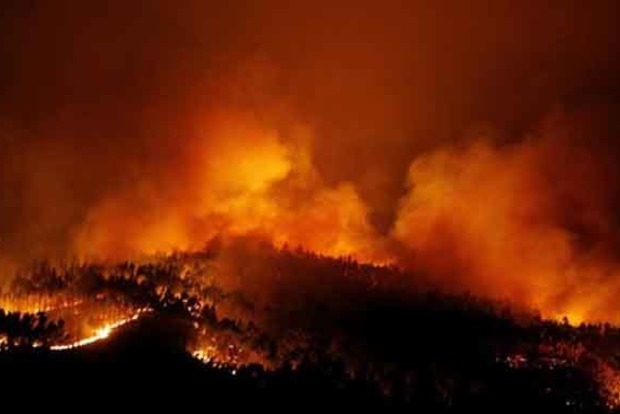 Пожары в Португалии забрали 25 жизней. Опубликованы фото и видео