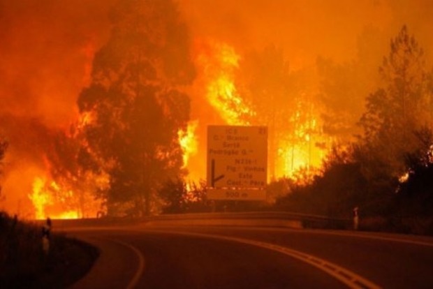 Лесные пожары в Португалии. Число жертв выросло до 62