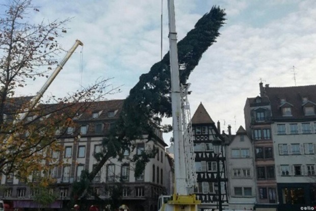 Рождество в опасности: у Страсбурге треснула вторая рождественская елка