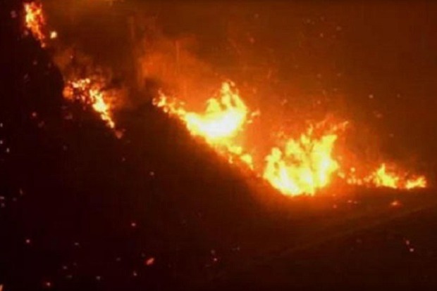 В Калифорнии лес загорелся одновременно в пяти местах