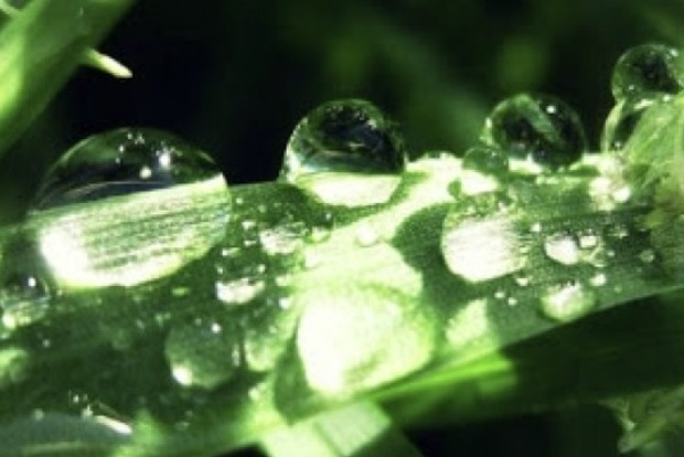 Гороскоп на 30 июля 2023 года: что обещают астрологи