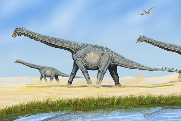В Австралії знайдено найбільший у світі слід динозавра