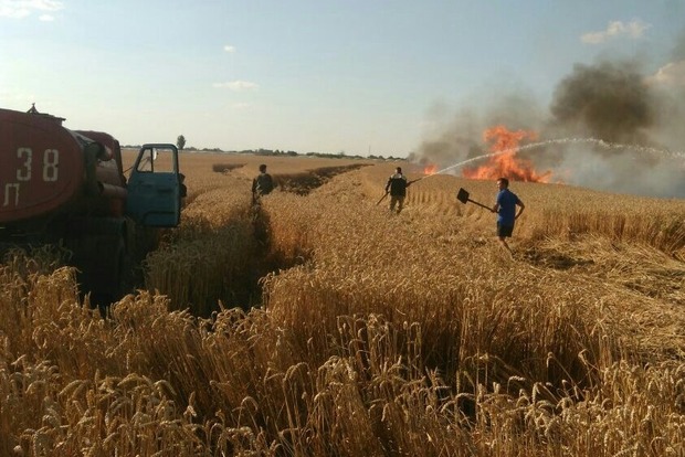 В Одесской области горело поле пшеницы (фото)