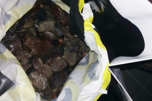 На Ровенщине полиция изъяла 13 кг янтаря у местных жителей