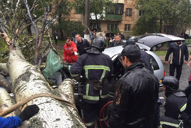 В Одесі помер чоловік, на машину якого впало дерево