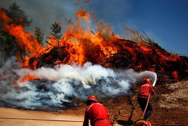 В Португалии во время лесных пожаров заживо сгорели 20 человек