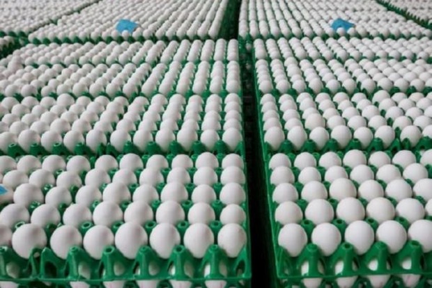 В Угорщині виявили великі партії яєць, заражені фіпронілом