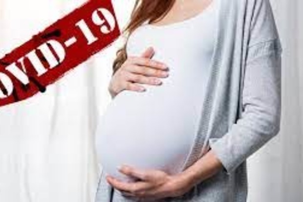 Беременные женщины = беременные животные?