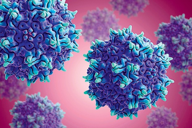 Ученые обнаружили 1500 новых вирусов