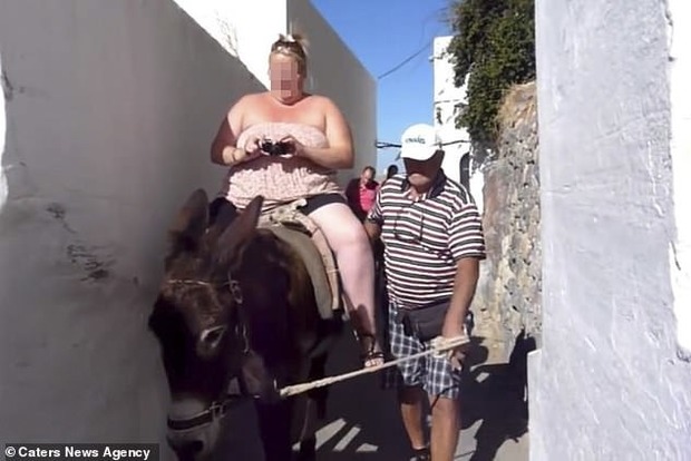 Толстые туристы сводят со свету греческих осликов