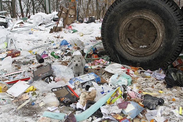 Эколог: Опасные отходы в Украине утилизируют фиктивные предприятия, которым Минэкологии выдает лицензии