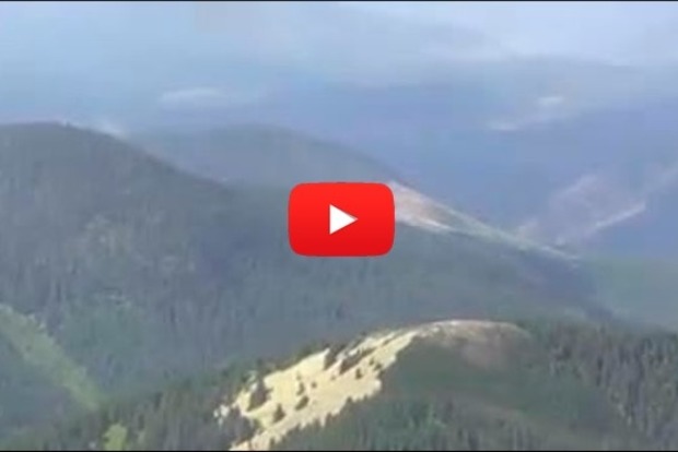Луценко с вертолета осмотрел масштабы вырубки леса на Закарпатье (видео)