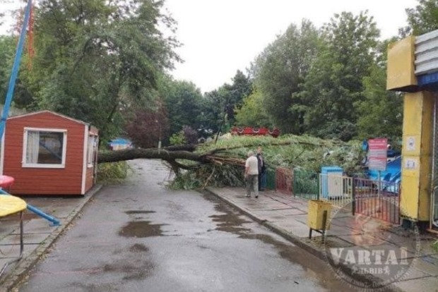 Непогода во Львове валила деревья