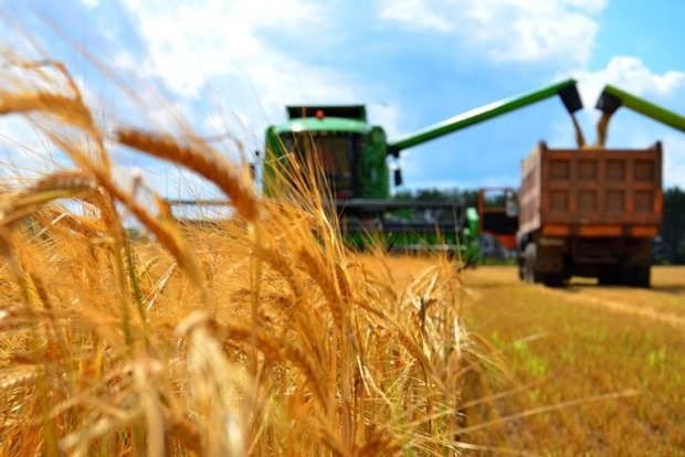 Украинские аграрии получат кредит в 400 млн евро
