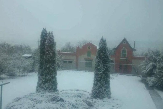 Началось: В Харькове выпал первый снег