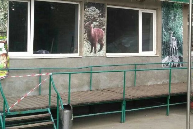 Обезьяны в зоопарке Харьковской области оторвали пальцы и ухо работнику