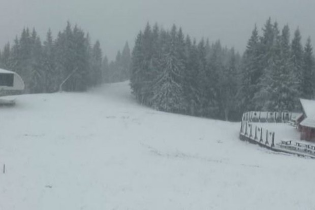 Жителів України порадував перший сніг