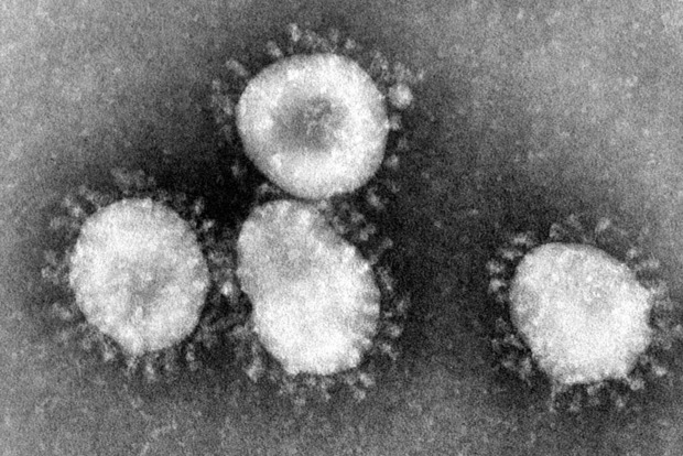 Скільки видів коронавируса існує