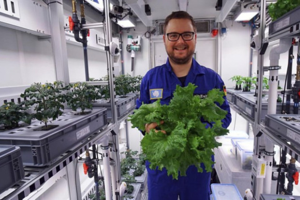 В Антарктиде теперь можно выращивать овощи