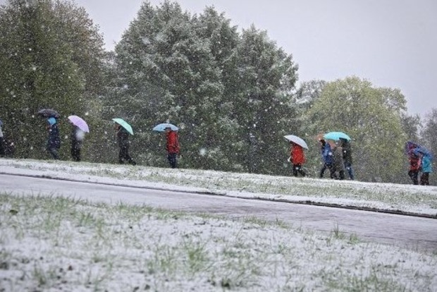 Мокрий сніг та заморозки: На Закарпатті оголосили штормове попередження