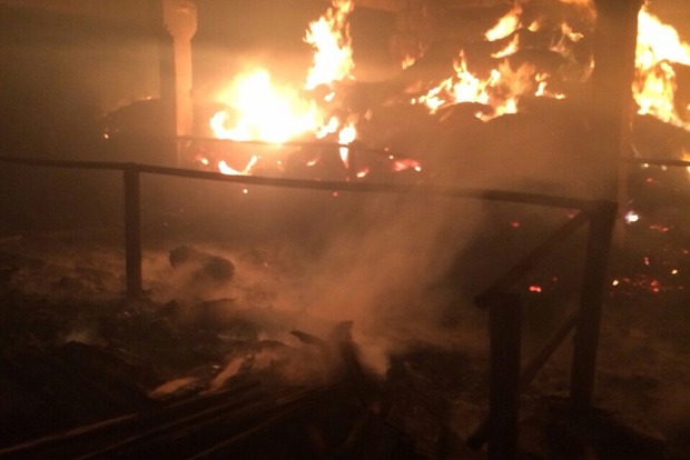 В Киевской области при пожаре на ферме погибло 110 животных (фото)