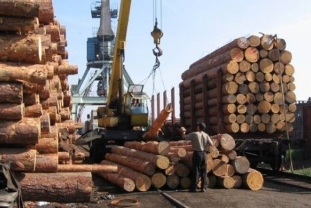 Украина готова к дискуссии с ЕС по вопросу возобновления экспорта леса, - Гройсман 