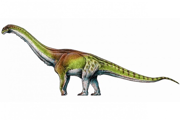 Археологи обнаружили самого большого в мире динозавра  