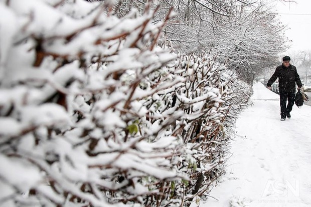 В Україну прийшов лютий мороз до -28, снігопади і штормовий вітер