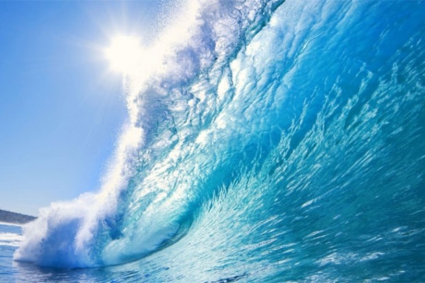 В Мировом океане снизился уровень кислорода‍