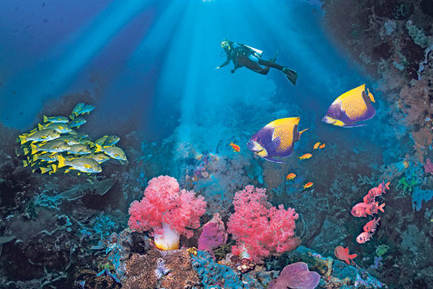 Где поплавать с аквалангом в Таиланде и получить максимум удольствия