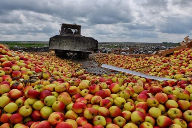 В России бульдозером раздавили более 46 тонн черешни и яблок из Украины и Польши