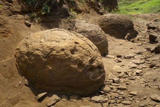 В Китае археологи нашли яйца динозавров возрастом 70 млн лет