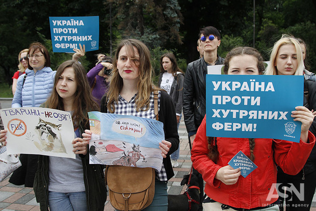 Активисты и хорек Маруся протестовали под Радой против меховых ферм
