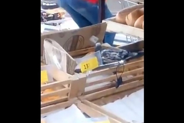 У супермаркеті Києва продають піцу з голубами. Кумедне відео