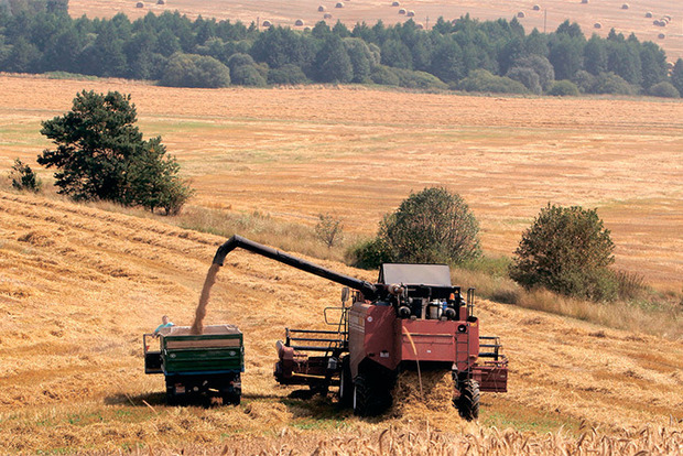 Эксперты подсчитали, какую часть урожая Украина потеряла из-за непогоды