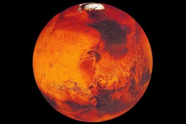 Уфологи обнаружили на Марсе останки животного
