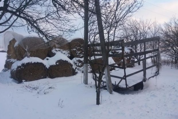 Мать оставила младенца на морозе в стоге сена в Харьковской области