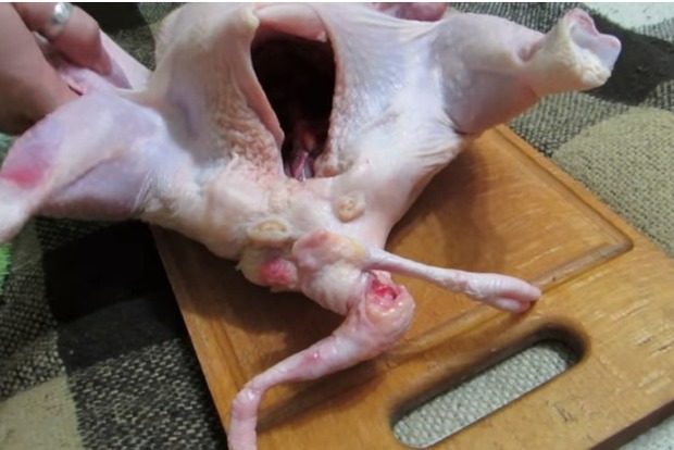 Мутанты на прилавке: В харьковском магазине купили курицу с четырьмя ногами