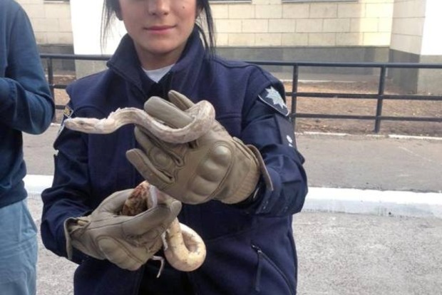 В квартиру к жителю Киева забрался удав