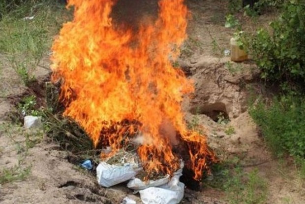 В Славянске сожгли партию наркотиков на 300 тысяч гривен
