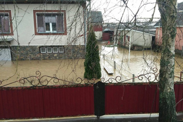 Водный апокалипсис в Закарпатье. Появились фото