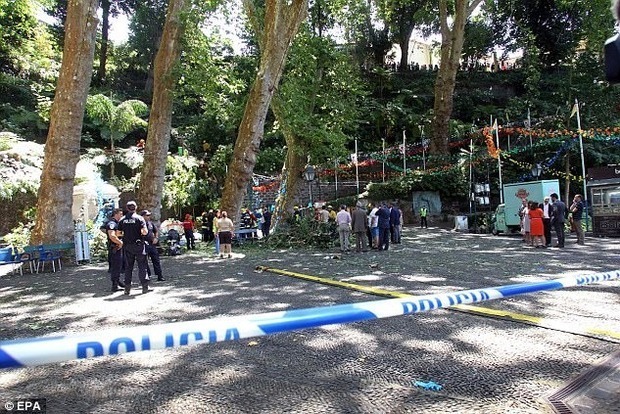 На курорте в Португалии двухсотлетний дуб убил 12 человек‍