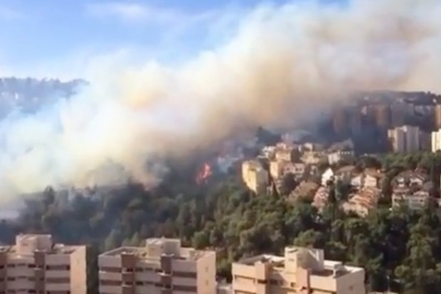 Пожар в Израиле: эвакуировали 12 районов Хайфы