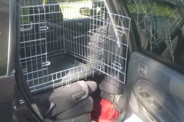 Неизвестные пожертвовали Команде спасения животных в Киеве автомобиль Honda 