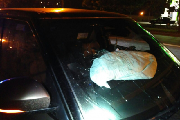 В Одесі «Range Rover» на смерть збив пішохода і зник з місця ДТП