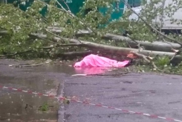 Упавшее дерево убило женщину в Одессе