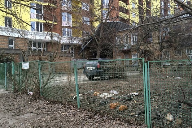 В Киеве отравили несколько десятков редких птиц
